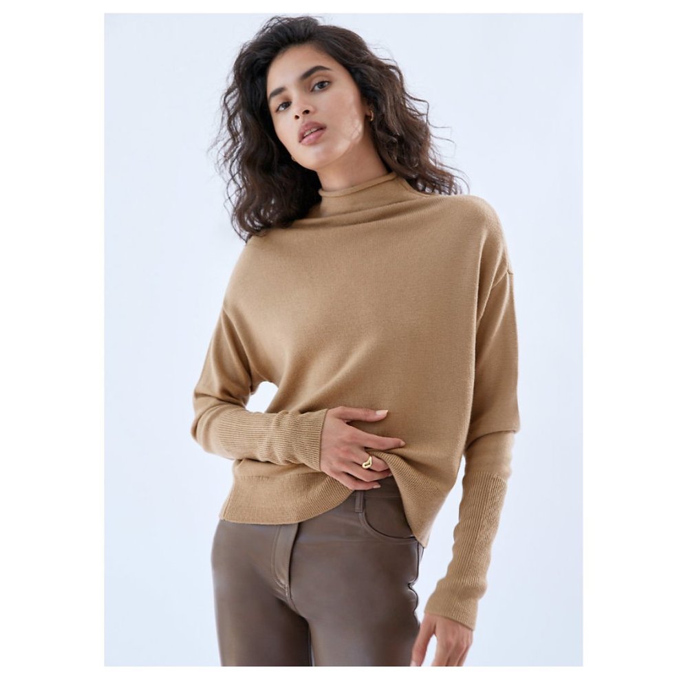 Aritzia / Wilfred Cyprie Turtleneck Sweater